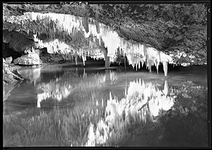 Yanchep, Crystal cave (Western Australia) (Frank Hurley) (9781161676)