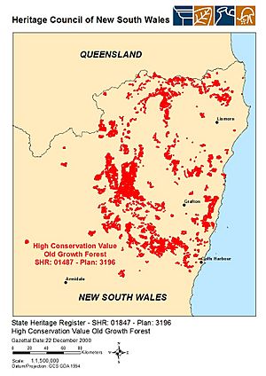 High Conservation Value Old Growth forest Facts for Kids