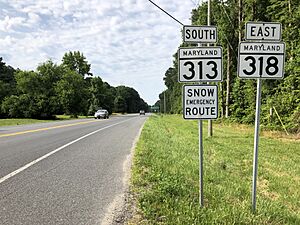 2022-06-22 09 07 55 View south along Maryland State Route 313 and east along Maryland State Route 318 (Federalsburg Highway) just southeast of Maryland State Route 315 (Bloomingdale Avenue) in Federalsburg, Caroline County, Maryland