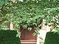 260 Keith Road East - Wynard and Charlotte Gladwin Residence 1
