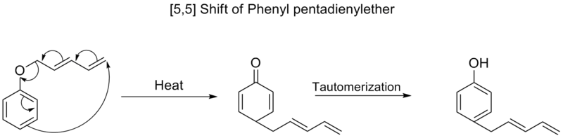 [5,5] shift of phenyl pentadienyl ether