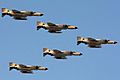 A formation of IRIAF F-4s over Bushehr