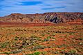 Along Hwy 95 in SE Utah - shortcut along Hwy 261 - (17914025559)