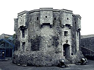 Athlone Castle, 2008