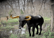 Aurochs and modern lion reconstruction - Greece during the Roman period.png