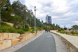 Barangaroo Reserve Wulugul Walk 201708