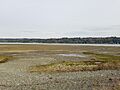 Beach with tide flats and land in distance