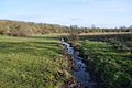 Blagrove Common 7