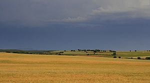 Bliecos, Soria, España