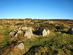Bodrifty Iron Age settlement - geograph.org.uk - 1617172.jpg