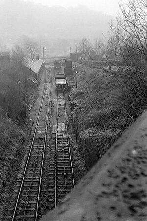Bottom of sheep pasture incline 1966