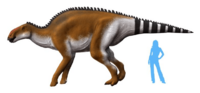 Brachylophosaurus NT alternate.png