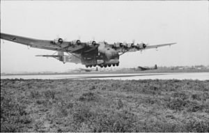 Bundesarchiv Bild 101I-596-0367-05A, Flugzeug Me 323 Gigant