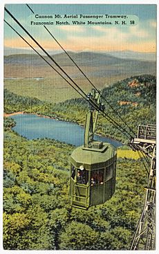 Cannon Mt. Aerial Passenger Tramway, Franconia Notch, White Mountains, N.H (65085)