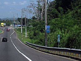Carretera 111 en Bahomamey, San Sebastián, Puerto Rico