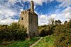 Castles of Munster, Dromore, Clare - geograph.org.uk - 1542601.jpg