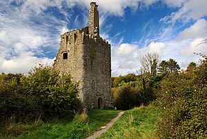 Castles of Munster, Dromore, Clare - geograph.org.uk - 1542601.jpg
