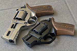 Chiappa Rhinos - 200DS and 40DS (42398401015)