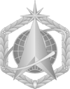 Chief Master Sergeant of the Space Force service cap badge
