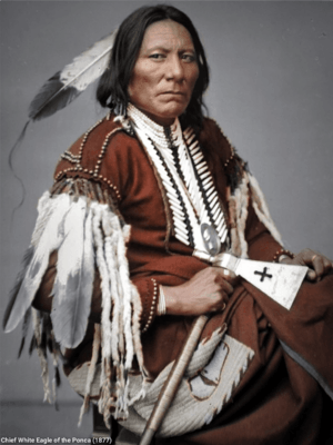 Chief White Eagle in 1877 (Colorized).png