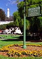 Coit Tower from Washington Square