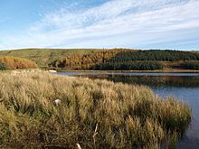 Craighall Dam reservoir - geograph.org.uk - 1031090