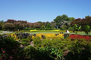 Dallas Arboretum and Botanical Garden September 2017 26 (Jonsson Color Garden)
