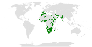 Distribution of Trithemis kirbyi.png
