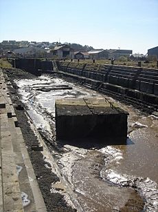 Disused Dry Dock - geograph.org.uk - 489556