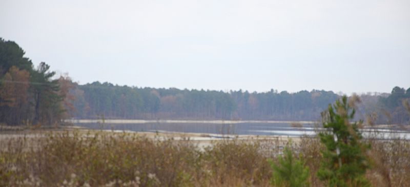 Elvis Presley Lake