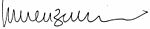 Enzensberger Signature.jpg