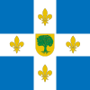 Flag of Villaquejida