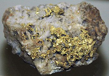 Gold on quartz (North Star Mine, Grass Valley Mining District, California, USA) (17161279802)