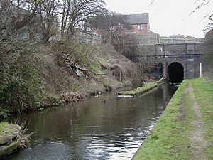 Gosty Hill Tunnel - geograph.org.uk - 138283
