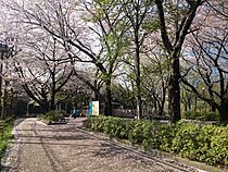Goten-yama Hill, Kita Shinagawa 5Chome