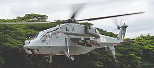 HAL Prachand during a flight