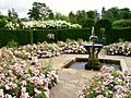 Hever Castle rose garden with fountain