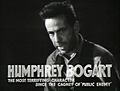 Humphrey Bogart in The Petrified Forest film trailer