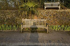 Ian Dury-Memorial Bench