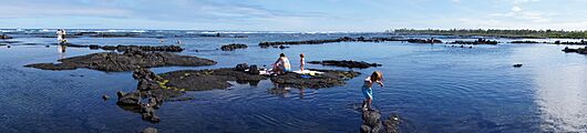 Kapoho tidepools