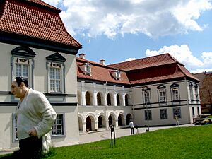 Lietuvos teatro muzikos ir kino muziejus
