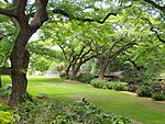 Lili'uokalani Botanical Garden - Honolulu, HI.JPG