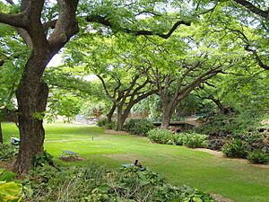 Lili'uokalani Botanical Garden - Honolulu, HI