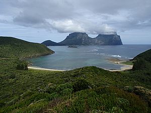 Lord Howe Island from Mount Eliza