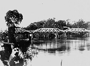 Macintyre River Bridge at Goondiwindi circa 1890