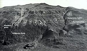 Mauna Kea glaciation