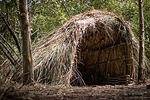 Mesolithic Hut