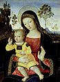 Pinturicchio Virgen con niño Ashmolean Museum