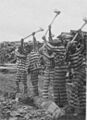 Prisonlabor1