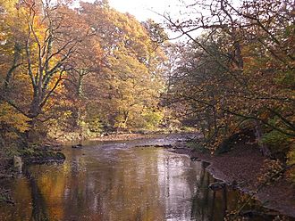 River Goyt in Woodbank Park - geograph.org.uk - 730720.jpg